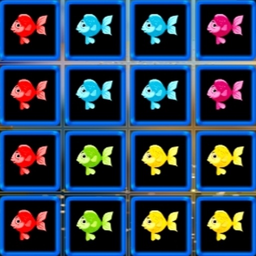 1010 Fish Blocks