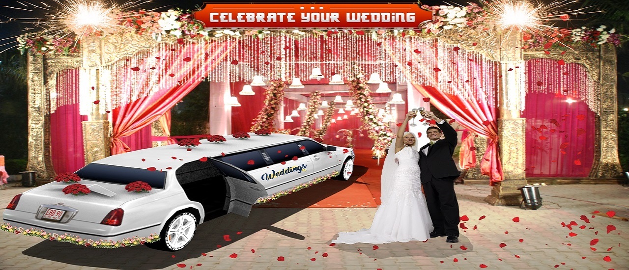 Luxury Wedding Limousin Car Game 3D