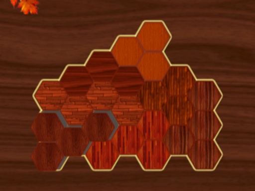 Woody Block Hexa Puzzle Game